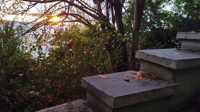 ТЕРРЕНКУР ИЛИ ТРОПА ЗДОРОВЬЯ. ПУТЕШЕСТВИЯ ПО СОЧИ.
Муз., сл. Сергея Кузнецова - "Старый _2024-12-14. смотреть онлайн