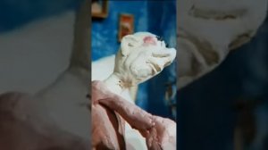 #Макияж м/ф «Серый волк&Красная шапочка» #юмор #мультик #пластилин #париж #бабушка #краснаяшапочка