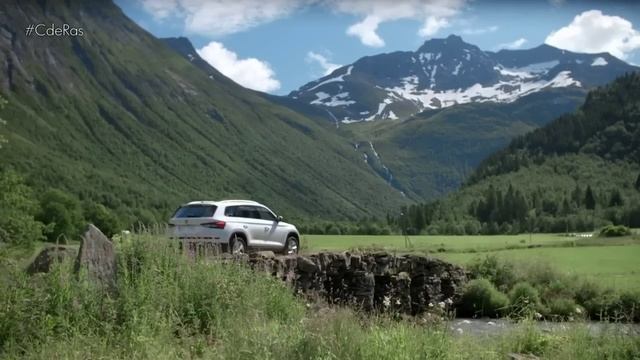 SKODA KODIAQ | By #CdRas смотреть онлайн