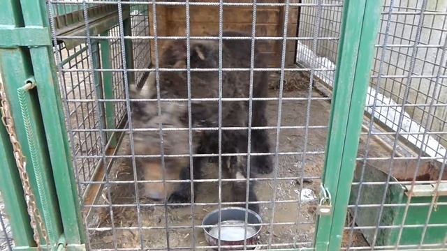 Тонечка смотреть онлайн