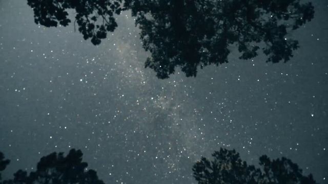 FRAME - Mercury (Official Music Video) смотреть онлайн