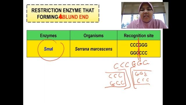 Tools Used In Recombinant DNA Technology смотреть онлайн