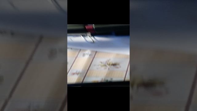 1000017116.mp4 смотреть онлайн