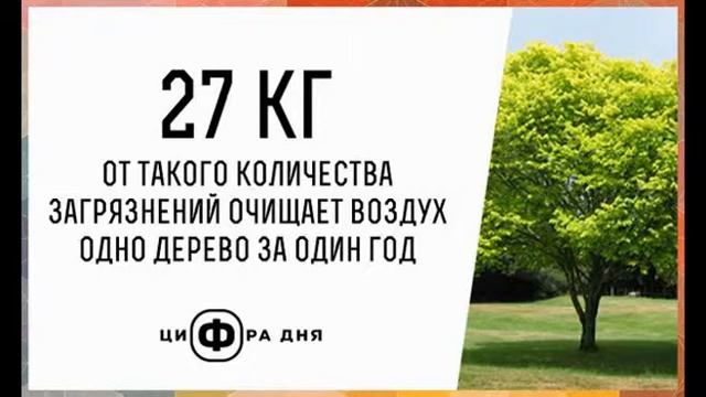 ФАКТЫ ДНЯ. Интересная информация для Вашего ума (Часть 89) смотреть онлайн