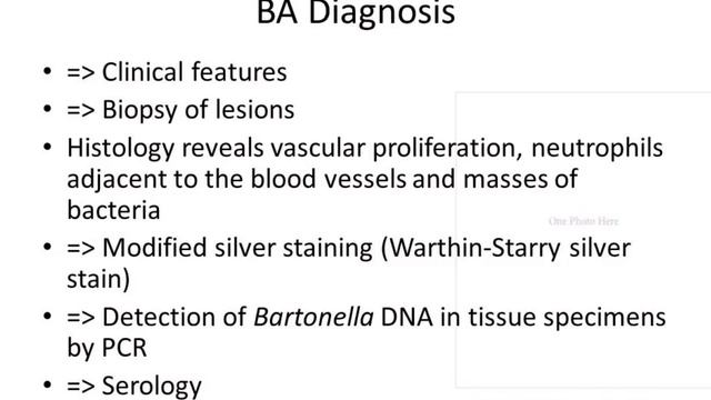 Bartonellosis -- Antoneh Addisu, MD смотреть онлайн