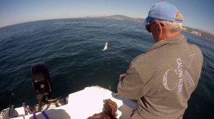 Рыбалка в Сочи, накат 1,2м