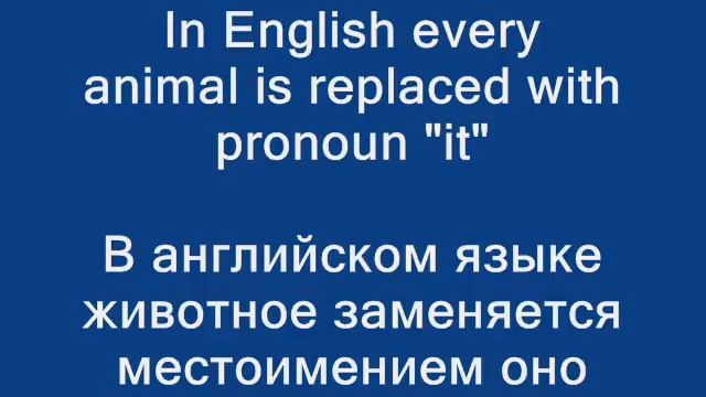 English pronouns.level1 - Английские местоимения смотреть онлайн