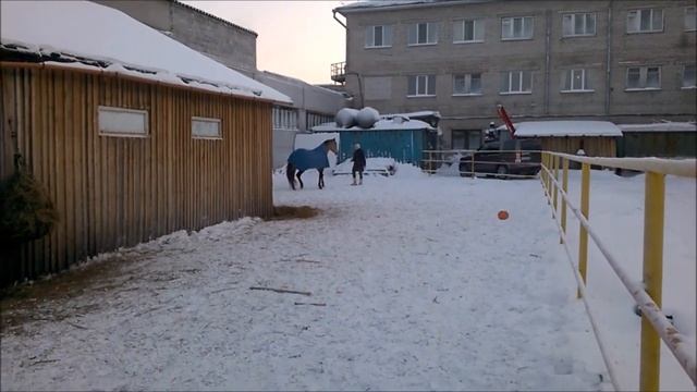 Чингиз играет с Ланой смотреть онлайн