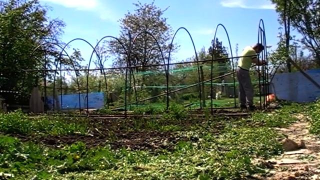 Лекции о любви и секретах сердца