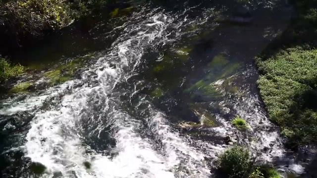 Пение птиц.Шум леса для спокойного сна. смотреть онлайн