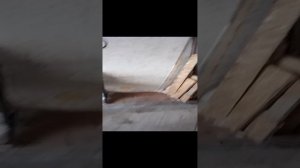VID_20241214_150055.mp4 обзор пресс-подборщика 1060 Малыш часть№2
