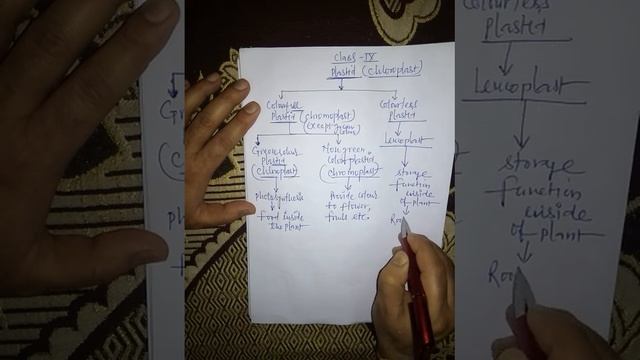 class ix|plastid| CHAPTER-5| fundamental unit of life смотреть онлайн