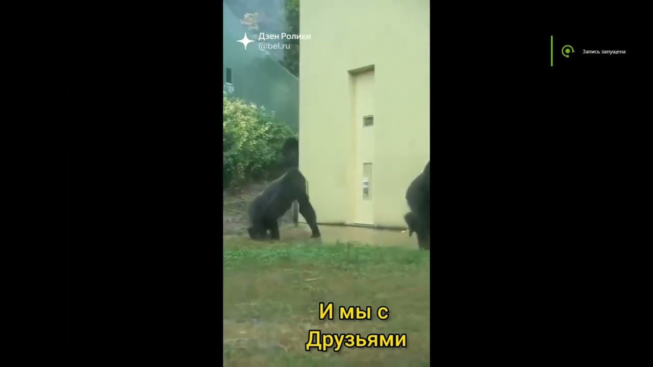 Пацаны нас спалили смотреть онлайн