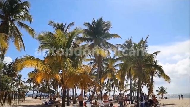 Экскурсия на китов