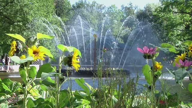 г Санкт-Петербург . №2 Peterhof . смотреть онлайн