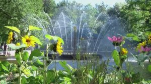 г Санкт-Петербург . №2  Peterhof .