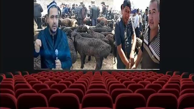 Shukurulloh Domla Dallollik Halol Kasibmi? / Шукурулло домла Даллоллик