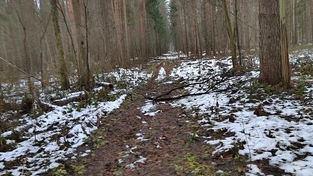 VID_20241123_141702 смотреть онлайн