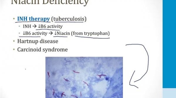 Biochemistry - 4. Vitamins - 1. B Vitamins atf