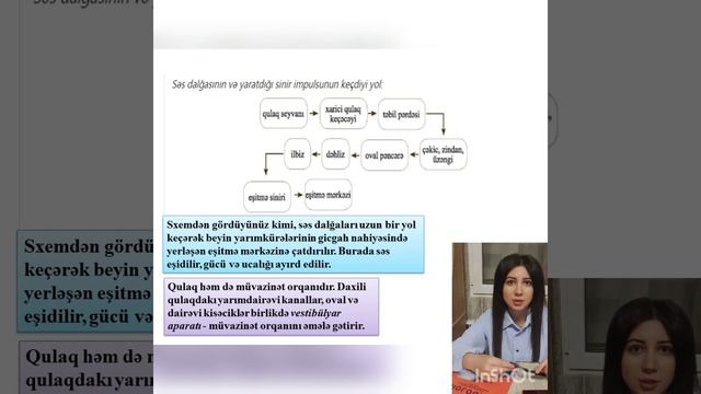 📌 EŞİTMƏ VƏ MÜVAZİNƏT ORQANIMIZ - QULAQ смотреть онлайн