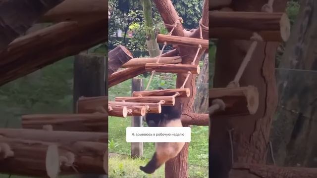 Это круто изменит твою жизнь, прочти 👇
Забери подарок в описании смотреть онлайн