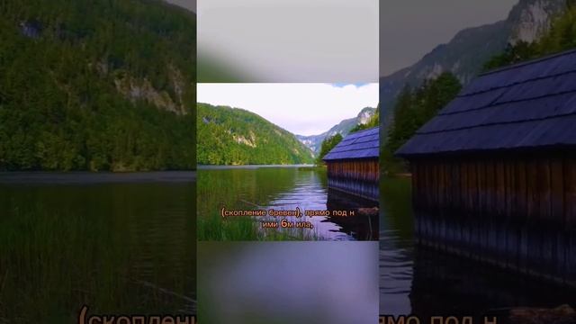 Тайна дна озера Топлицзе #врек #топлицзе #втораямироваявойна #германия смотреть онлайн