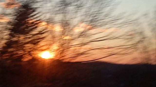 1000138075.mp4 смотреть онлайн