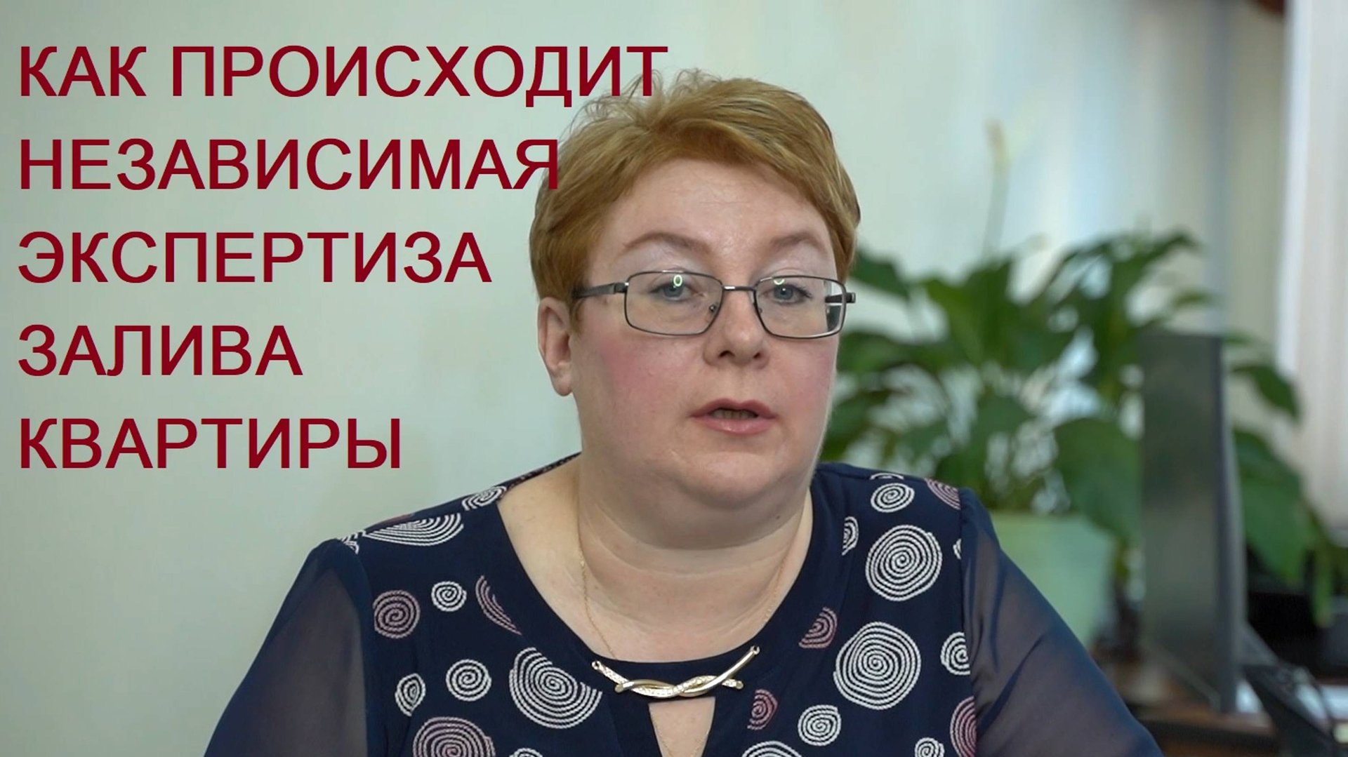 Как происходит экспертиза по заливу