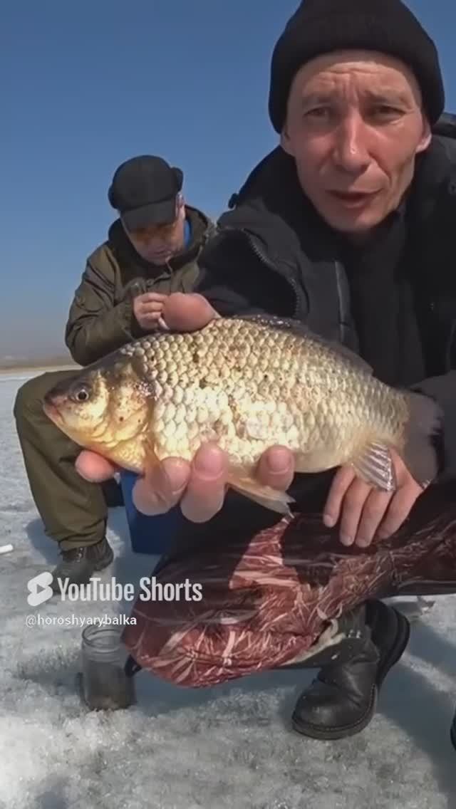 КРУПНЫЙ КАРАСЬ ЗИМОЙ, смотреть онлайн