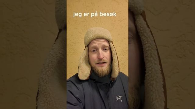 Норвежский язык (слово 643): besøk смотреть онлайн