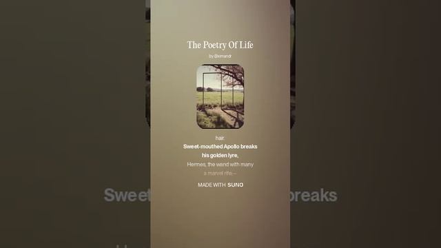 The Poetry Of Life смотреть онлайн