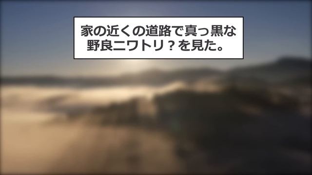 【2ch面白いスレ】他人の失敗はメシウマw爆笑不可避のざまぁコピペ60連発【ゆっくり解説】 смотреть онлайн