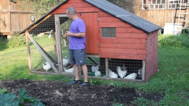 Домик для кур. Отличный курятник. смотреть онлайн