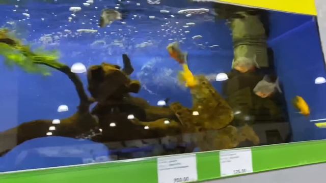 ПЕРВЫЙ ВЛОГ ЗА РУЛЁМ смотреть онлайн