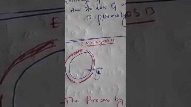 CBSE Class 9- Biology - Endocytosis