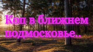 КОП В БЛИЖНЕМ ПОДМОСКОВЬЕ