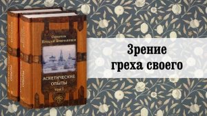 7. 3рение греха своего. Святитель Игнатий (Брянчанинов)