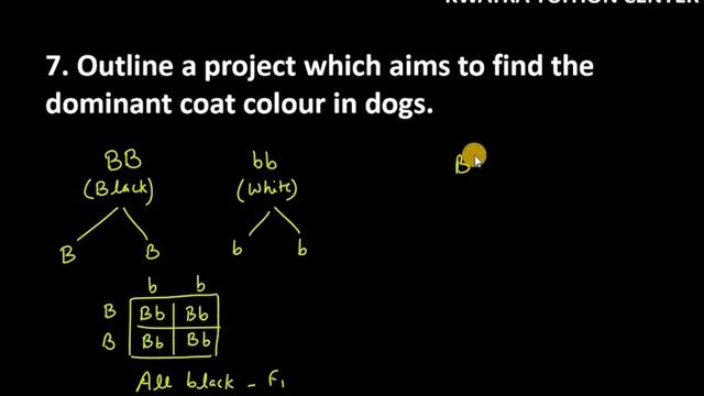 7. Outline A Project Which Aims To Find The Dominant Coat Colour In Dogs.