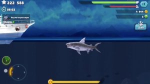 тигровое выживание или 15 минут за 2 попытки в hungry shark