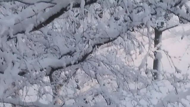 15 декабря смотреть онлайн