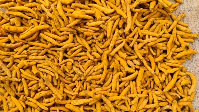 International Turmeric Exporting Company From India #turmeric #indianspicyfoods  #haldi #cúrcuma