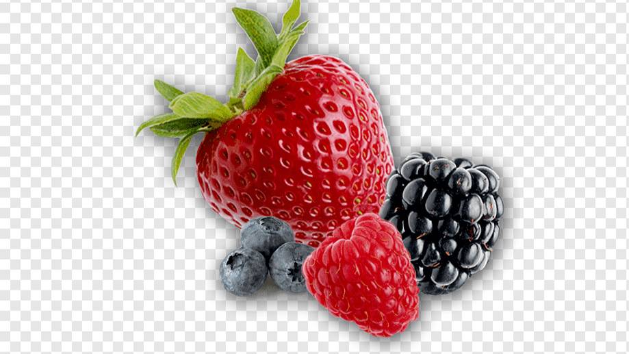 🎀 𝓂𝒶𝓂𝒶𝓈𝒽𝒶 🎀 🐘 ⋆ 🐟