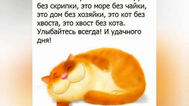 Рубрика «На позитиве»