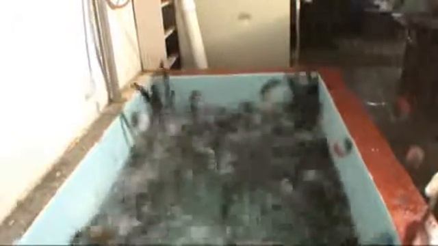 freaky lamprey panic response смотреть онлайн
