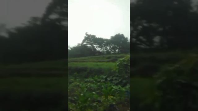 Hujan yang bisa membuat dirimu rilex dan mudah tertidur. смотреть онлайн