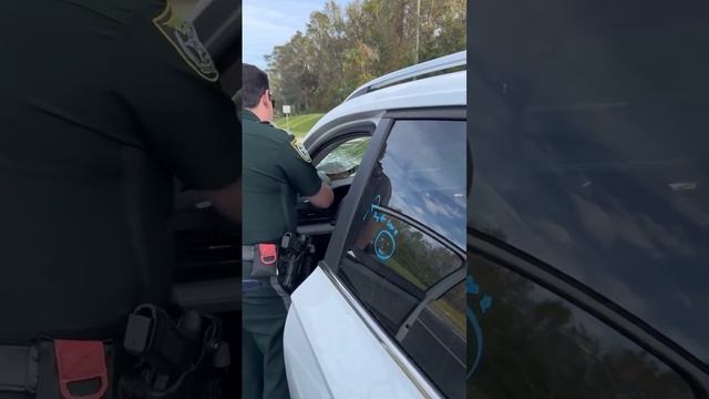 сюрприз в лобовом стекле смотреть онлайн