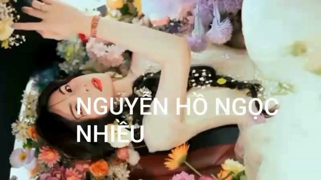 NGUYEN HO NGOC NHIEU