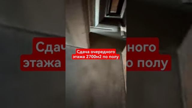 Стяжка пола по маякам с добавлением фибры в Томске 2700м2 #стяжка #shorts #томск #стройка смотреть онлайн