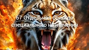 новая песня «67 бригада» от Baba Yaga