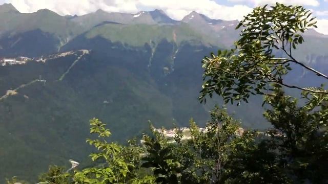 Джунгли смотреть онлайн